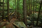 Squamish playground