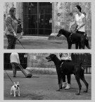 dittico_street