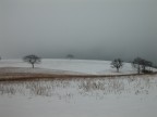 Collina innevata