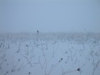 Prato sepolto dalla neve