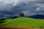 Mugello