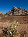 Uno scatto fatto alla famosa Valle della Luna presso Capo Testa (Santa Teresa di Gallura)

Il luogo, oltre che per la sua bellezza paesaggistica,  noto per ospitare una comunit hippy nel periodo estivo.

Fotografia scattata con Olympus e-520 + Zuiko 11-22

Pareri, commenti e critiche sempre ben accetti

Grazie
Andrea