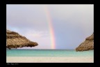 Sembrano i tropici invece....