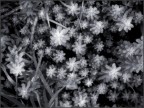 Texture