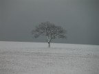 Nikon Coolpix 5700