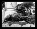 Leone Villa Garibaldi (Pa)