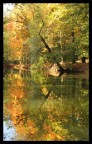 Colori d'autunno