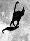 L'Altra Ombra