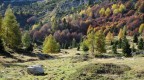 Colori autunnali in Val Parol - m.te Altissimo