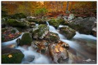 Dati di scatto: Nikon D300 - Sigma 10-20 a 12mm - f/11 - 2.5 sec - Lee Filter GND 0.6 Hard, ND 0.6, Polarizzatore

L'autunno in alta Valle Pesio

Commenti e critiche ben accetti come sempre
Buona serata a tutti