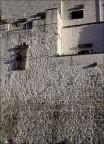 Bianco di Puglia