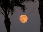 la bellissima luna di SharmElSheik
