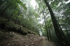 Iso 50 , 4.0s , f16 , sigma 12-24 a 12mm su Eos 5D