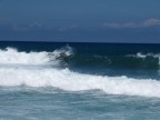 Waimea, Oahu