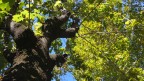 Strano autunno...