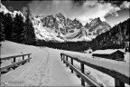 Valvenegia 1