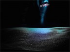 sempre parte dalla solita quadro di liquido e sabbia ! 
 fa parte di una serie di 30 foto scattate per esperimento , spero che vi piace