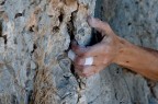 climbing in Grecia, foto presa dal reportage postato sul Kalymnos climbing festival