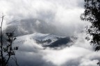 Sprazzi di luce