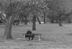 Solitudine