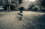 Fall