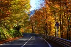 Autunno
