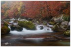 Autunno in valle Pesio
