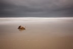 Solitudine