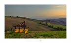 Contaminazioni agricole