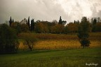 scendendo da san lorenzo