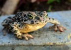 nikon d100 35-70 2.8 200iso 1/30" a f8