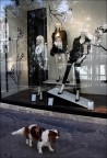 Fido fa shopping
