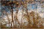 Pointillisme autunnale