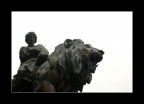 Sguardi verso Palermo . . .