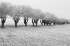 winter is coming