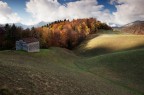 PATH TO THE FALL