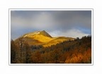 Autumn colors