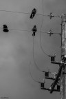 Il carica batterie