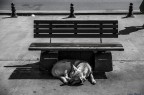 fotto fatta a istanbul nella zona asiatica della citt
35mm ISO200 1/4000 f/2,8
Critiche e ciommenti sempre ben accetti