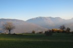 Ultimi raggi di sole sui terrazzamenti della destra adige
