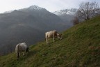 In montagna