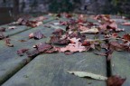 ISO 100
F/4.3
33 mm
1/5 Sec.