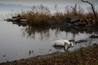 ISO 100
F/5.6
35 mm
0.3 Sec.