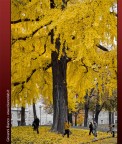 Nikon Coolpix P7000