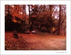 autunno al parco di Monza