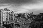 Roma:Il Foro Romano Roma:Il Foro Romano