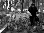 a milano: uomo da marciapiedi
