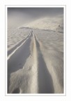 Tracks