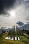 Cattedrale Vegetale