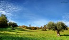 st